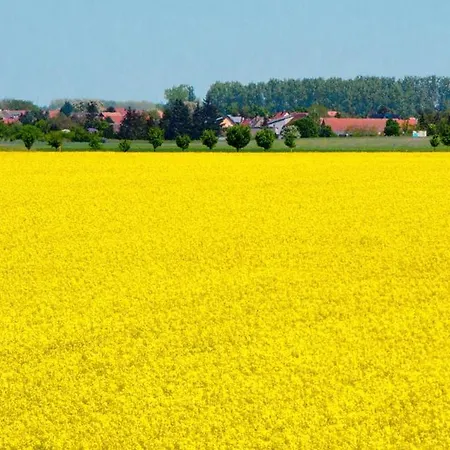 Bergblick